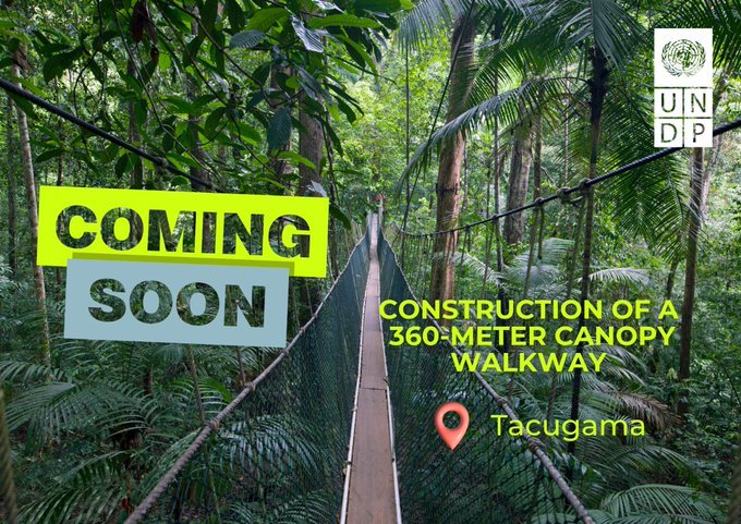 UNDP enhances eco-tourism with canopy walkway at Tacugama Sanctuary